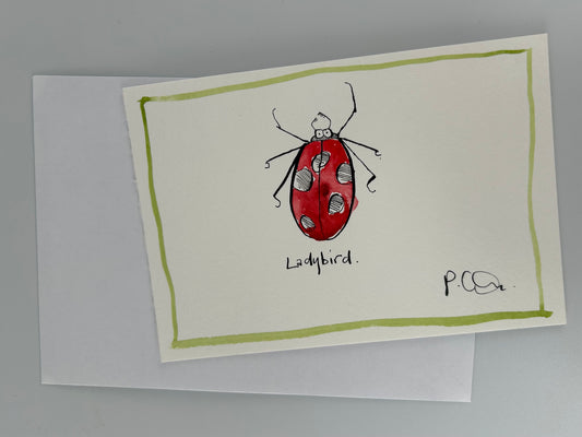 Ladybird